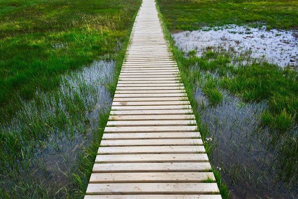Su, Keren 아티스트의 A plank pathway in Landmannalaugar-Iceland작품입니다.